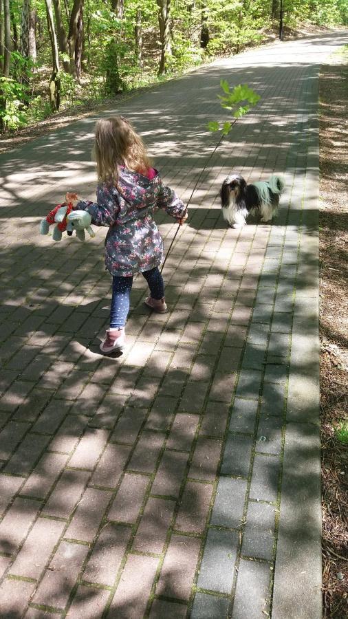 Limba Daire Jastarnia Dış mekan fotoğraf